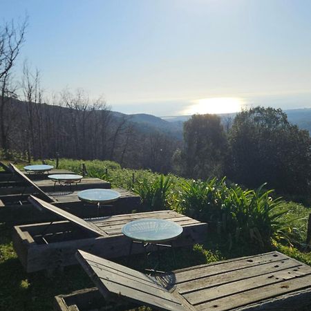 Domaine Colonna-Santini, Gite Piscine, Sauna, Spa Porri Eksteriør billede