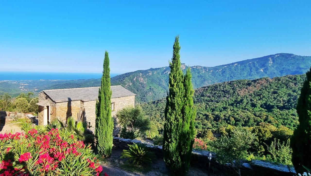 Domaine Colonna-Santini, Gite Piscine, Sauna, Spa Porri Eksteriør billede