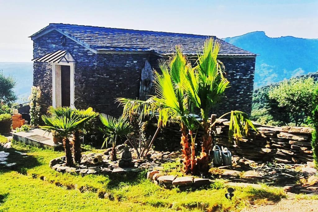 Domaine Colonna-Santini, Gite Piscine, Sauna, Spa Porri Eksteriør billede