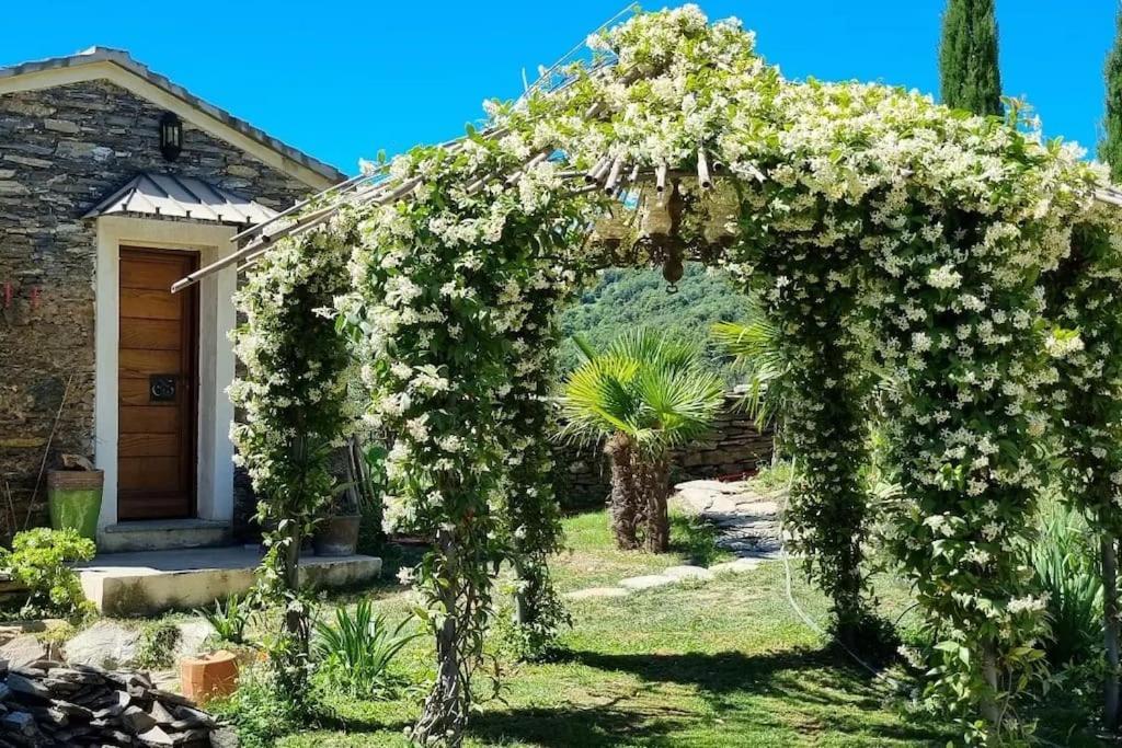 Domaine Colonna-Santini, Gite Piscine, Sauna, Spa Porri Eksteriør billede