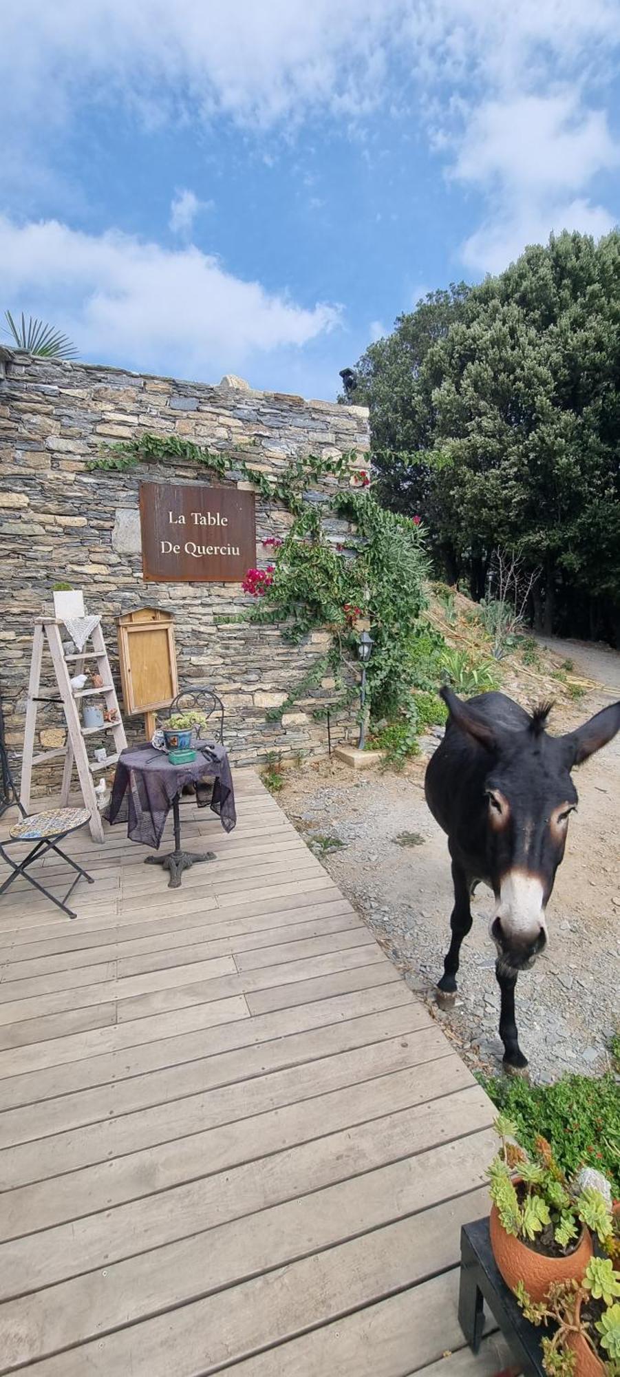 Domaine Colonna-Santini, Gite Piscine, Sauna, Spa Porri Eksteriør billede